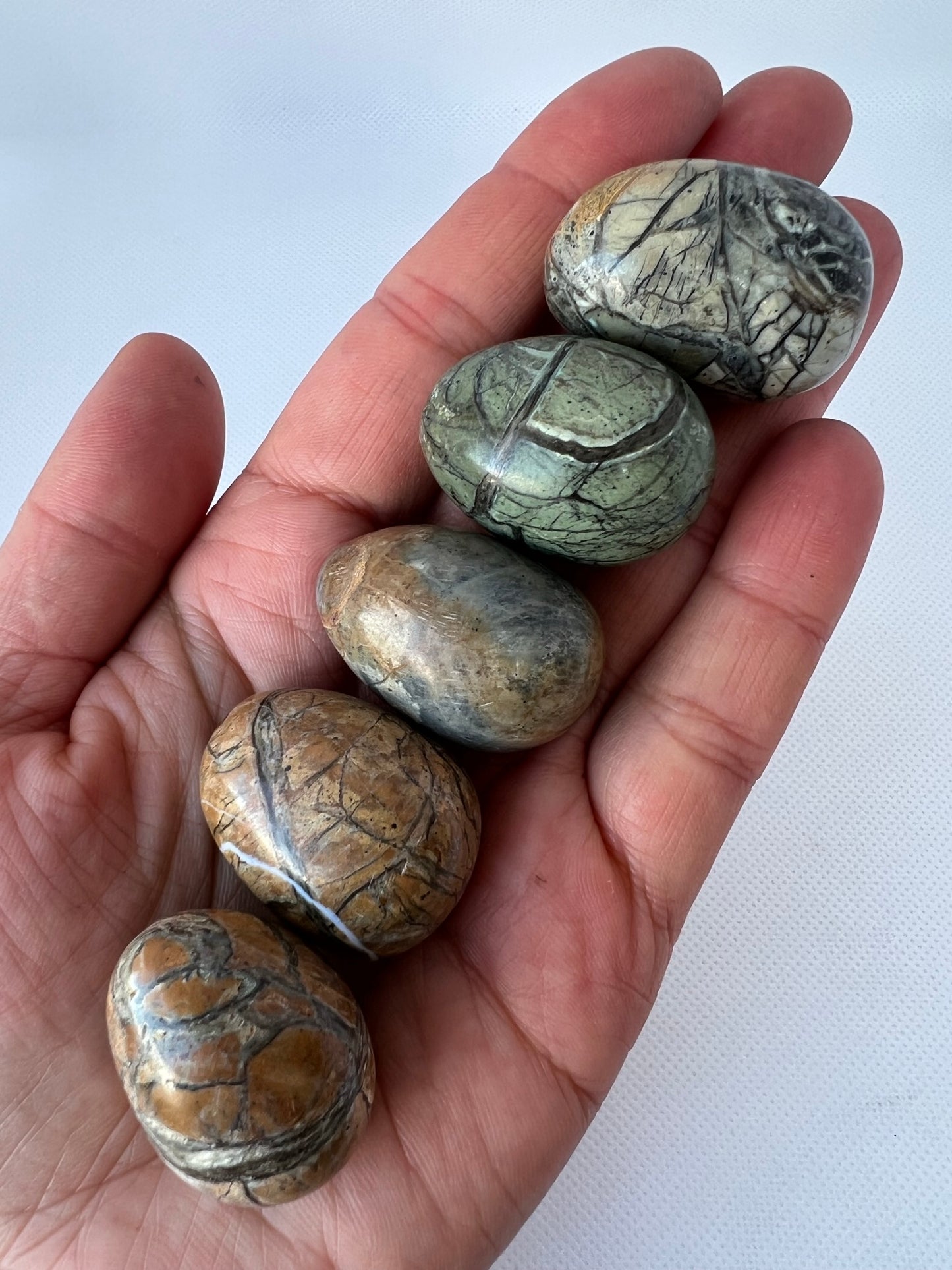 Green Maligano Jasper Egg