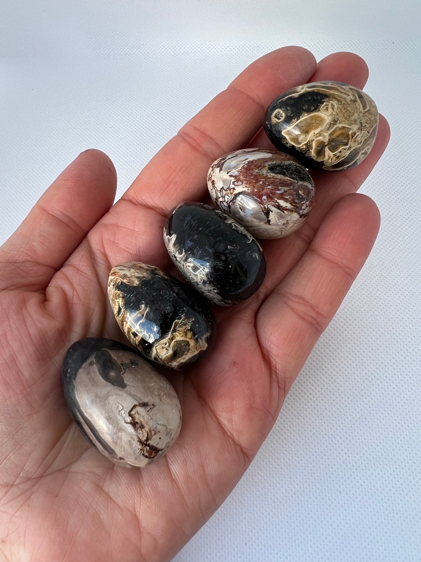 Palm Root Tumbled Stone
