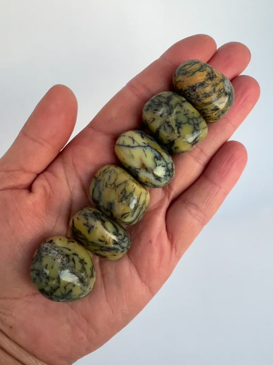 Dendrite Opal Tumbled Stone